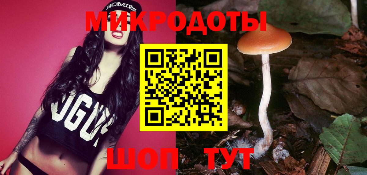 купить   Вход с VPN  Майкоп  Псилоцибиновые грибы Magic Shrooms 